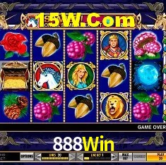 Estatísticas 888Win